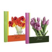 Image Art SA-30-P/23*28 серия 20 цветы (12/480)