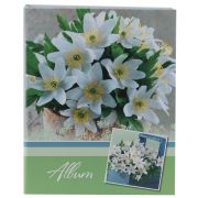 Image Art 102 IA -200PP (12/540)