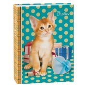 Image Art 257 IA -100PP (24/1008)