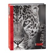 Image Art 263 IA -200PP (12/480)