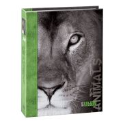 Image Art 264  IA -72РP, размер фото 15х21 (12/720)