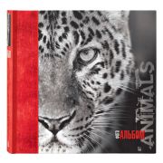 Image Art 263 IA -200ВВ (12/360)