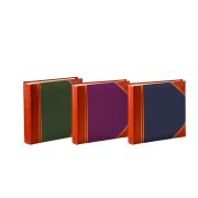 Innova Q897406 Фотоальбом в ассортименте (3 дизайна) 200 фото 10*15  Deluxe экокожа , кармашки (12/2