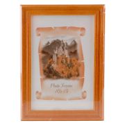 3N46 10*15 клён (48/2880)