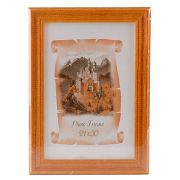 3N92 21*30 клён (20/900)