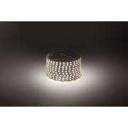 Светодиодная лента ЭРА 2835-9,6-120-12-4000K-IP20-1 year узкая дневной белый 1 год