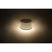 Светодиодная лента ЭРА LS2835-14,4-180-12-3000K-IP20-1 year-5m теплый белый 1 год