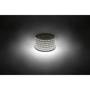 Светодиодная лента ЭРА LS2835-14,4-180-12-4000K-IP20-1 year-5m дневной белый 1 год