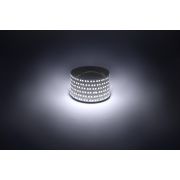 Светодиодная лента ЭРА LS2835-14,4-180-12-6500K-IP20-1 year-5m холодный белый 1 год