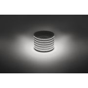 Светодиодная лента ЭРА LS2835-19,2-240-12-4000K-IP20-1 year-5m дневной белый 1 год