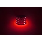 Светодиодная лента ЭРА LS5050-14,4-60-12-R-IP20-1 year-5m красный 1 год