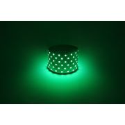 Светодиодная лента ЭРА LS5050-14,4-60-12-G-IP20-1 year-5m зеленый 1 год