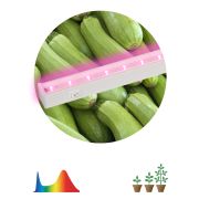 Светильник для растений, фитолампа светодиодная линейная ЭРА LLED-05-T5-FITO-9W-W розового свечения 9 Вт