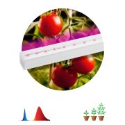 Светильник для растений, фитолампа светодиодная линейная ЭРА FITO-14W-Т5-N красно-синего спектра 14 Вт Т5