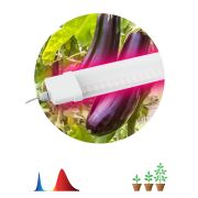 Светильник для растений, фитолампа светодиодная линейная ЭРА FITO-36W-RB-N красно-синего спектра 36 Вт