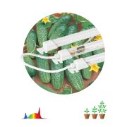 Модульный светильник для растений ЭРА FITO-3х10W-LINE-Ra90 полного спектра 30 Вт