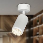 Светильник настенно-потолочный спот ЭРА OL55 WH MR16 GU10 IP20 белый