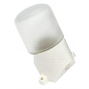 Светильник ЭРА НББ 01-60-002 для бани и сауны полиамид/стекло наклонный IP65 E27 max 60Вт белый НПБ400