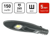 Светильник уличный светодиодный ЭРА SPP-5-60-5K-W 60Вт 9000лм 5000К КСС Ш 5 лет IP65