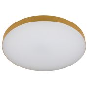 Светильник потолочный светодиодный ЭРА Классик с ДУ Relict 48 Pult SPB-6-60-RC MG 60Вт 3000-6500К Золото