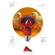 Инфракрасная лампа ЭРА ИКЗК 230-60 R63 Е27 для обогрева животных 60 Вт Е27