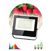 Фитопрожектор для растений светодиодный ЭРА FITO-100W-Ra90-LED для цветения и плодоношения полного спектра 100 Вт