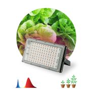 Фитопрожектор для растений светодиодный ЭРА FITO-80W-RB-LED-Y красно-синего спектра