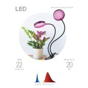 Светильник для растений на прищепке ЭРА FITO-20W-АLED-R красно-синего спектра 20 Вт черный