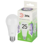 Лампочка светодиодная ЭРА GREEN LINE LED A60-25W-865-E27 GL груша холодный дневной свет (10/100)