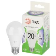 Лампочка светодиодная ЭРА GREEN LINE LED A60-20W-865-E27 GL груша холодный дневной свет (10/100)