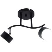 Светильник настенно-потолочный спот Rivoli Vanessa 7074-702 2хGX53 15 Вт поворотный