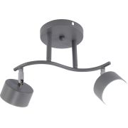 Светильник настенно-потолочный спот Rivoli Vivien 7077-702 2хGX53 15 Вт поворотный
