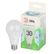 Лампочка светодиодная ЭРА GREEN LINE LED A60-30W-840-E27 GL груша яркий белый свет (10/100)