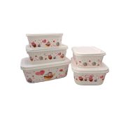 Набор пластиковых контейнеров 5шт., для хранения продуктов ST-2210 1/48