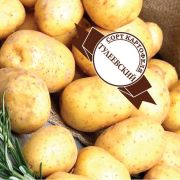 Элитный семенной картофель класс А Тулеевский (мешок 4,5кг)
