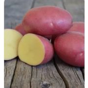 Массовая репродукция Семенной картофель «РЕД СКАРЛЕТ» (4 кг)