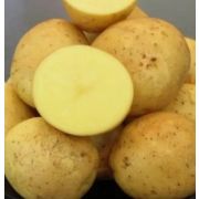 Массовая репродукция Семенной картофель «ГАЛА» (4 кг)