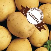 Элетный семенной Семенной картофель «АДРЕТТА»  ( 4.5 кг)